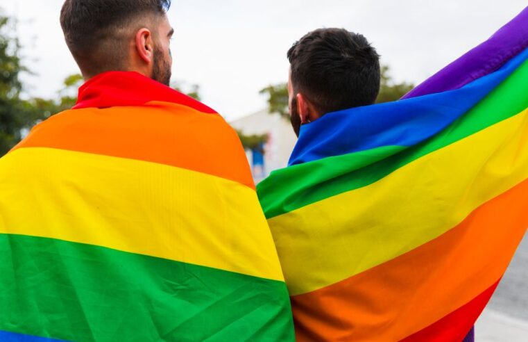 Mês do Orgulho LGBTQIAPN+: O que significa da letra da sigla