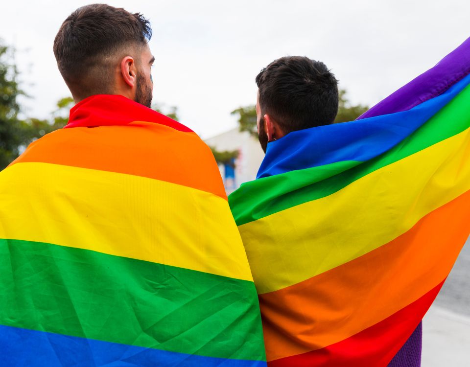 Mês do Orgulho LGBTQIAPN+: O que significa da letra da sigla