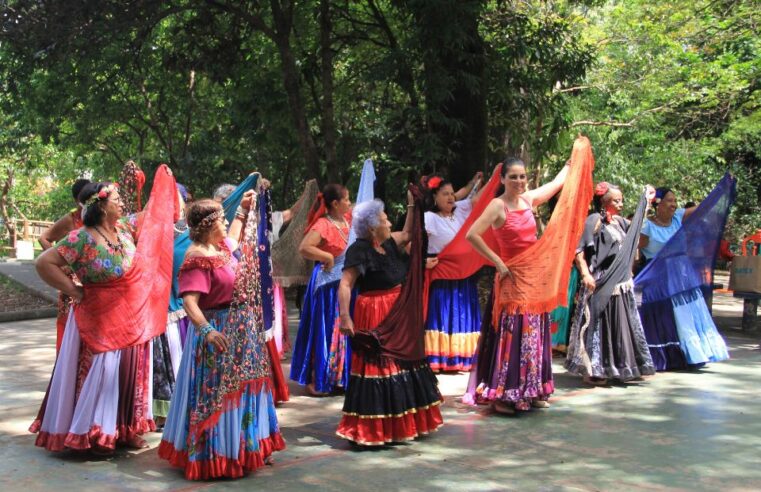 Festdança Sênior celebra a vida com o público 60+