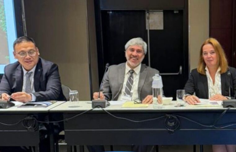 CEO da AMG brasil, fabiano costa, integra comitê executivo de associação internacional de fomento ao desenvolvimento de tântalo nióbio