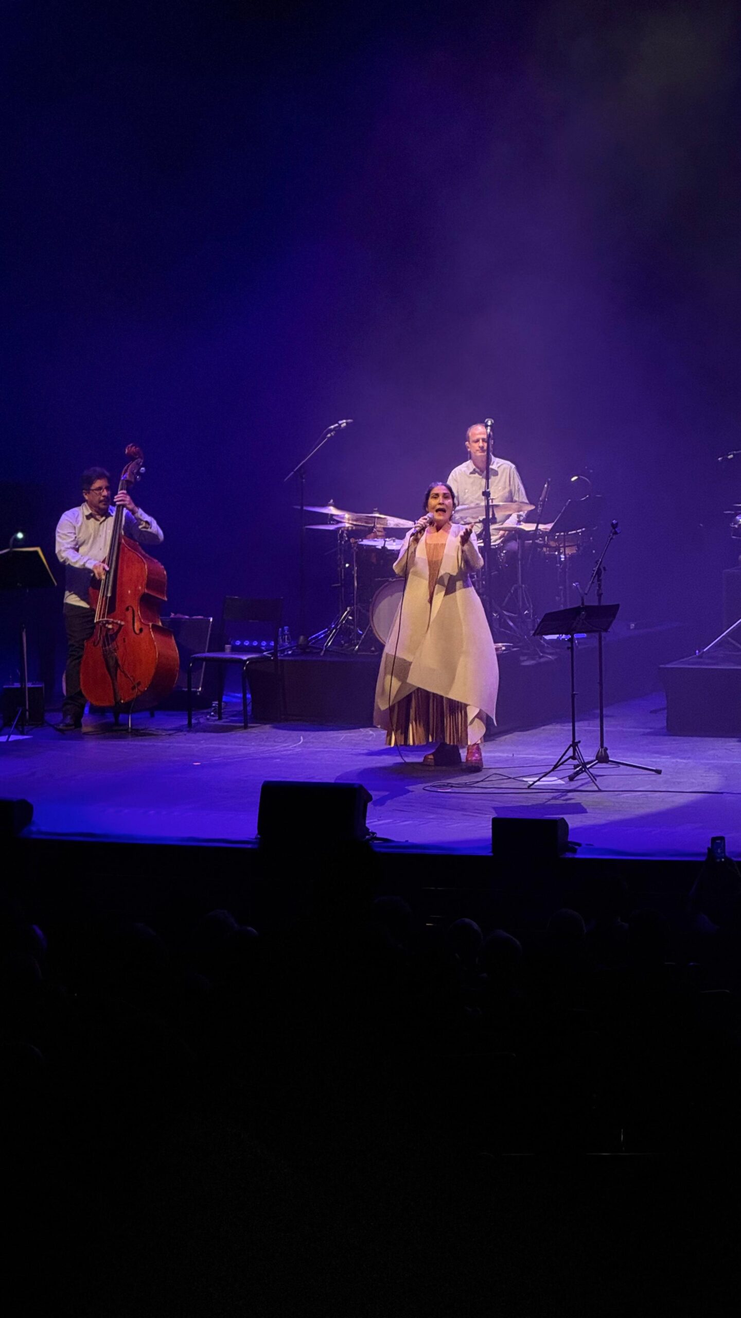 Mônica Salmaso apresenta “Minha Casa” no BTG Pactual Hall nesta terça-feira